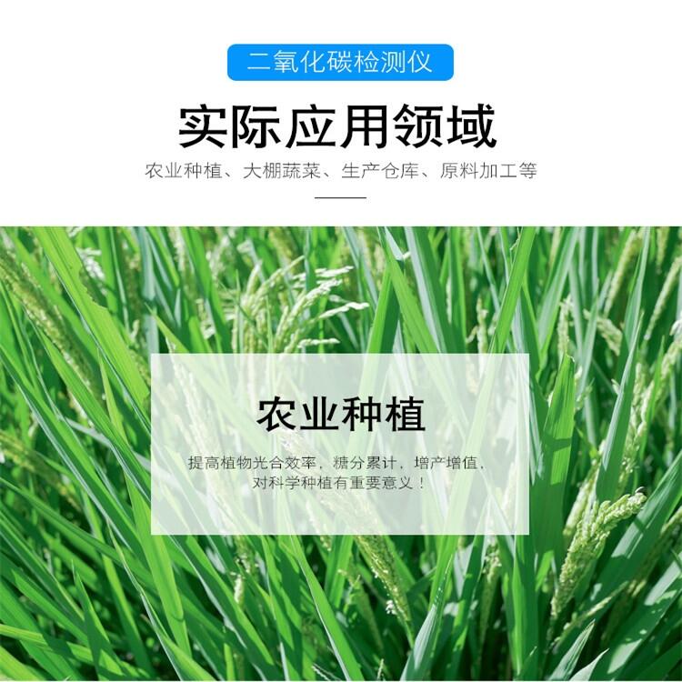 高分貝聲光co2濃度分析檢測(cè)儀 多功能