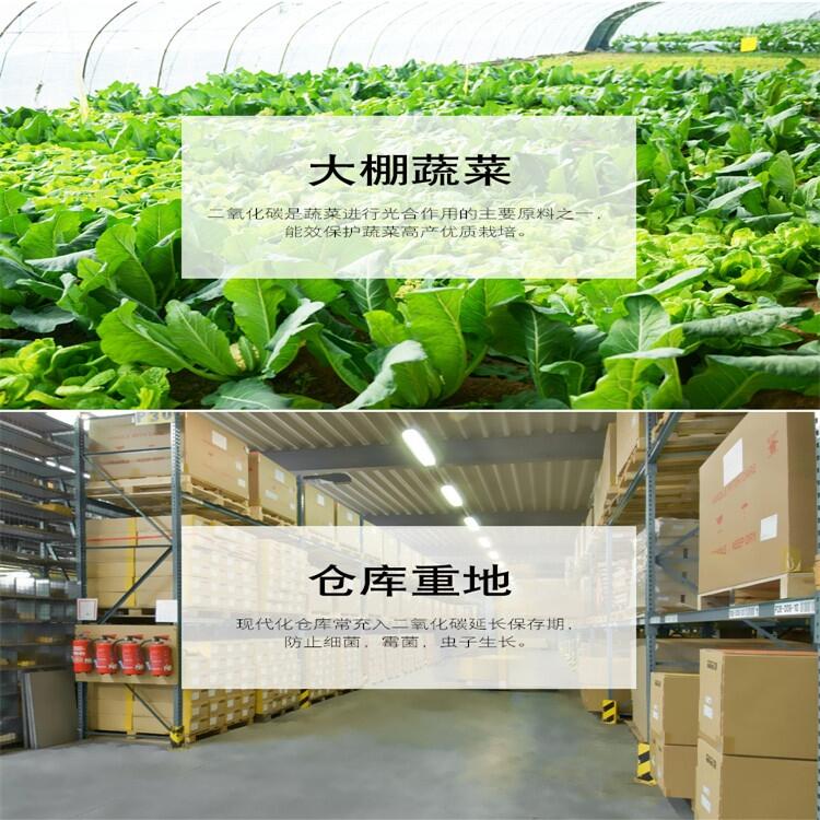 一體式二氧化碳檢測儀 批發(fā)價