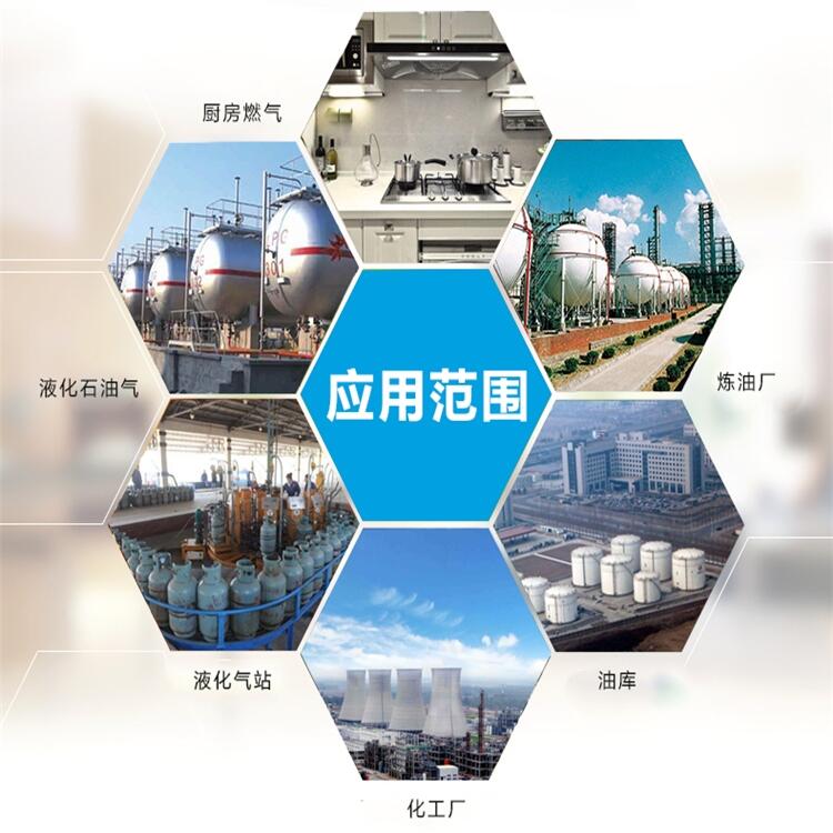 有毒，有害H2S探測(cè)器供應(yīng)